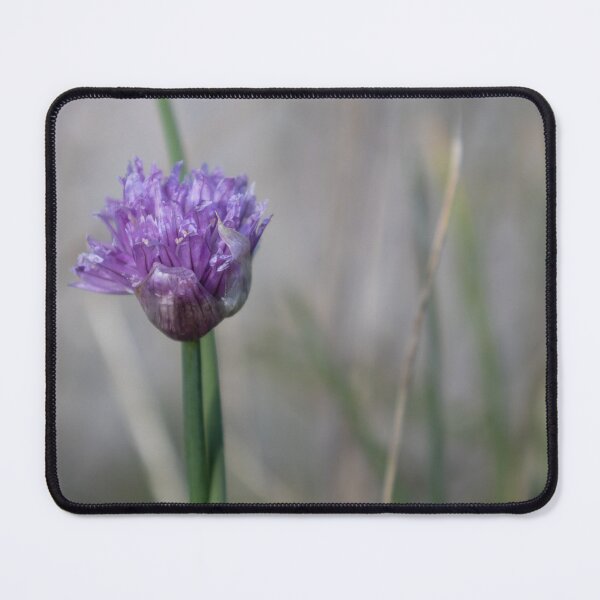 Item preview, Chives designed and sold by Calidris Fotografie Steffi & Ben Köppler.