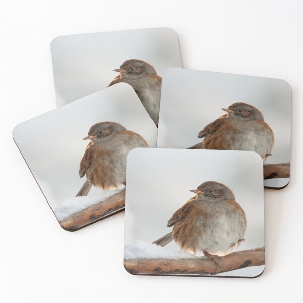 Item preview, Keeping his feet warm, a dunnock in snow designed and sold by AndrewJonesFoto.