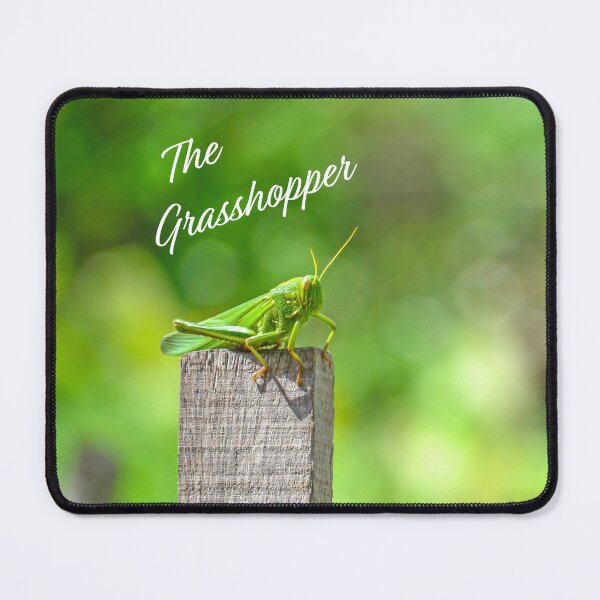Item preview, The grasshopper designed and sold by AnLeDesign.