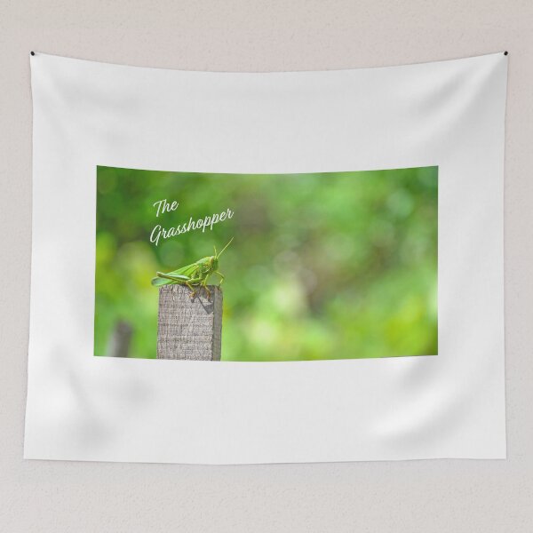 Item preview, The grasshopper designed and sold by AnLeDesign.