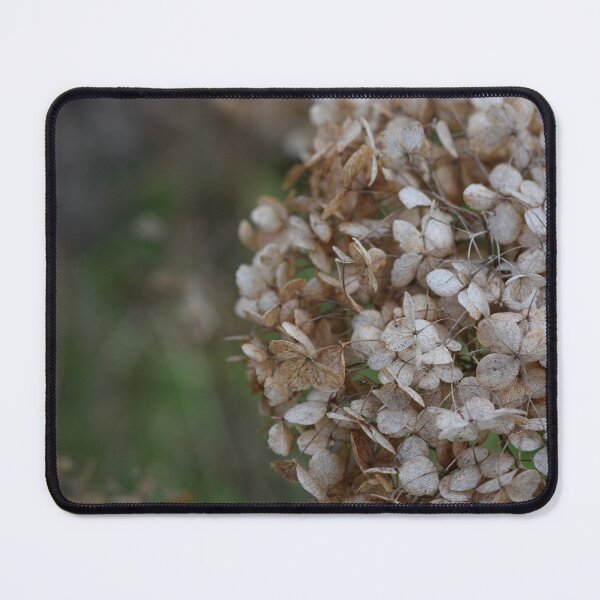 Item preview, Dried hydrangea flower photography detail designed and sold by thesuspire.
