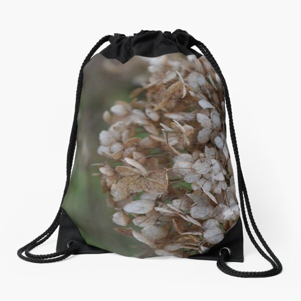 Item preview, Dried hydrangea flower photography detail designed and sold by thesuspire.