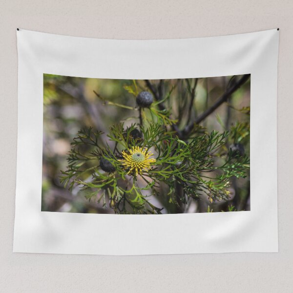 Item preview, Australian plantlife 1 designed and sold by Frits Klijn (klijnfoto.nl).