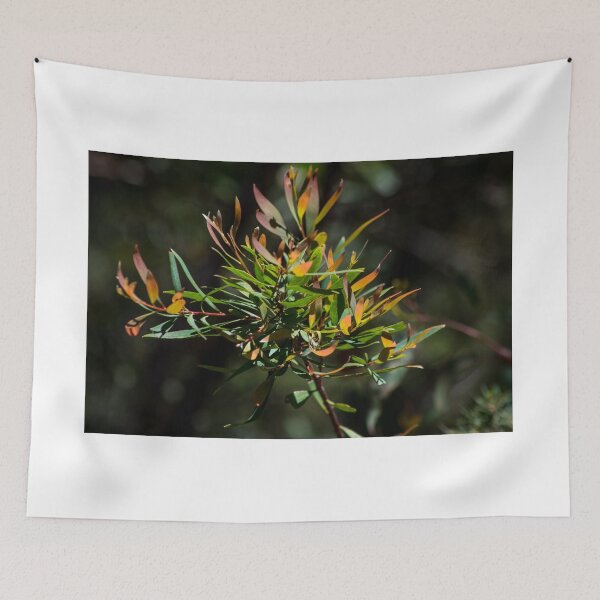 Item preview, Australian plantlife 2 designed and sold by Frits Klijn (klijnfoto.nl).