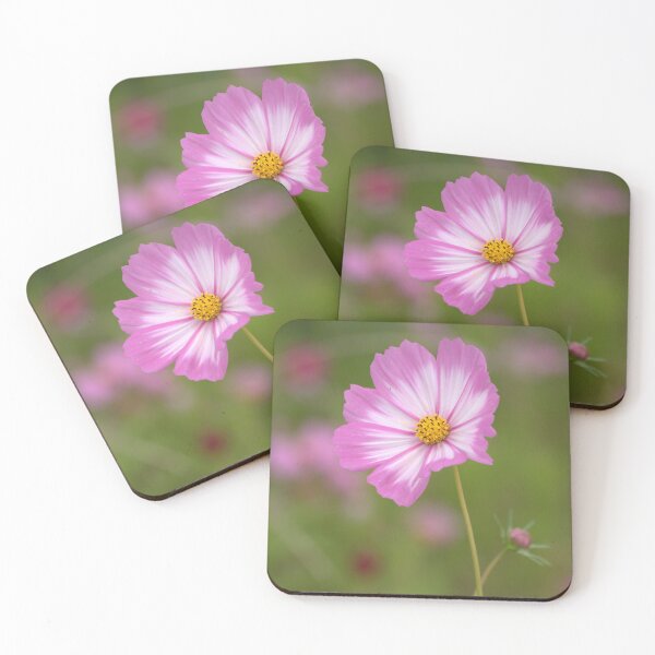 Item preview, Pink and White Cosmos  designed and sold by K D Graves Photography.