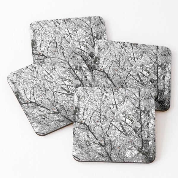 Item preview, Frosted beech tree designed and sold by paulboizot.