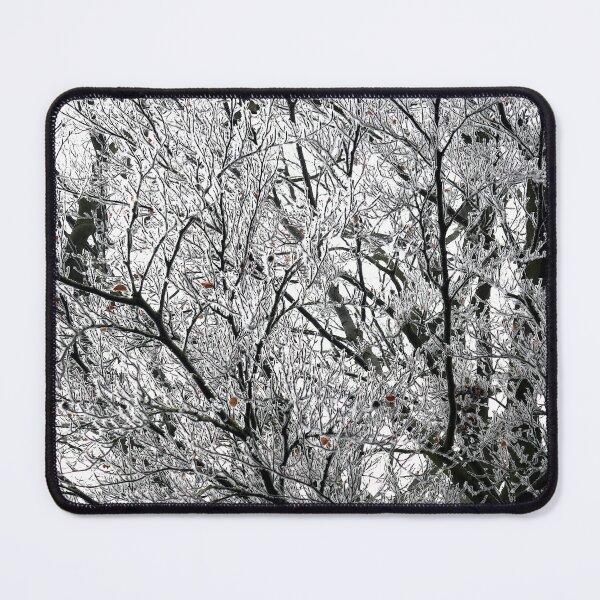 Item preview, Frosted beech tree designed and sold by paulboizot.