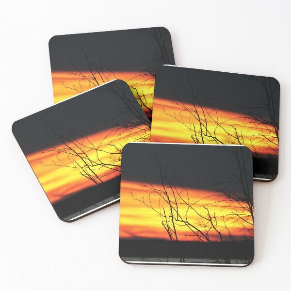Item preview, Branches in the sunset designed and sold by zmphotography.