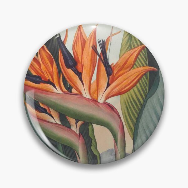 Item preview, The Temple of Flora, or Garden of Nature, Robert John Thornton designed and sold by stblecntainment.