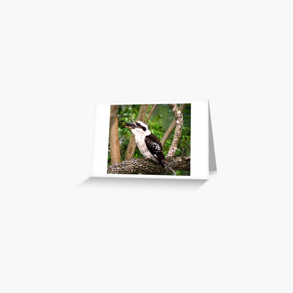 In the Baby's beak Greeting Card