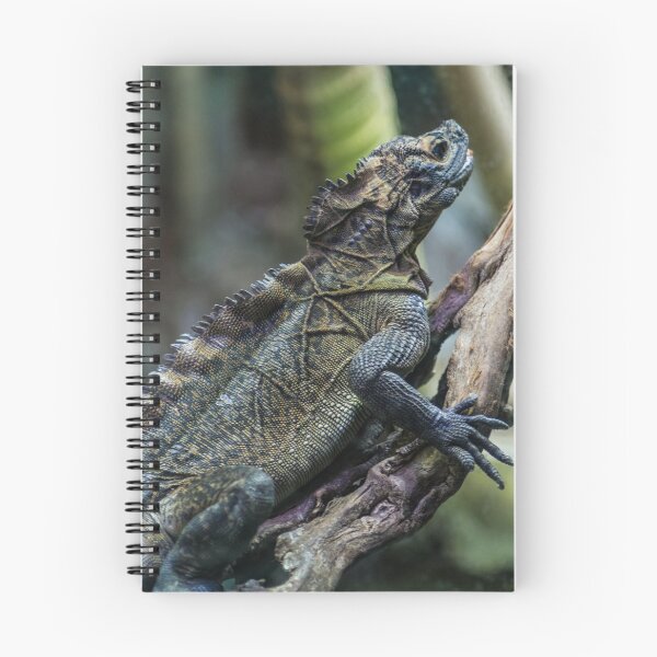 Item preview, Lizard designed and sold by Frits Klijn (klijnfoto.nl).