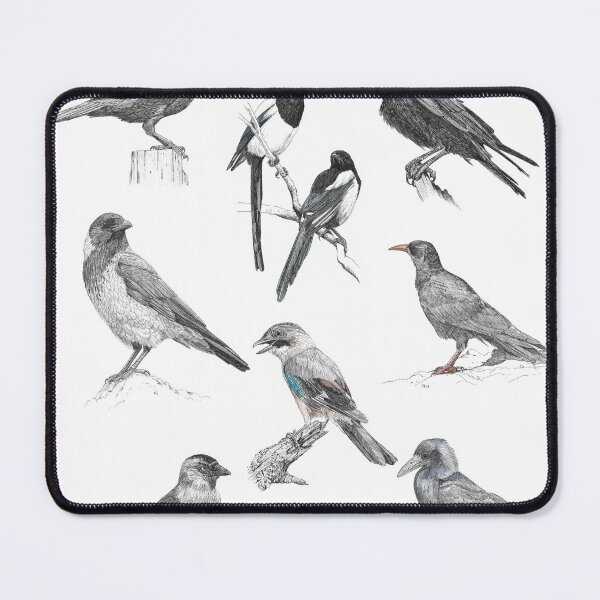 Item preview, British Corvids designed and sold by BensWildlifeArt.