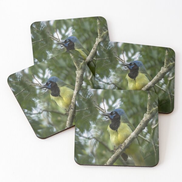 Item preview, Green Jay in Harlingen  designed and sold by CESW Photography.
