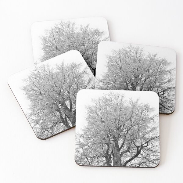 Item preview, Frosty beech tree, grayscale   designed and sold by paulboizot.