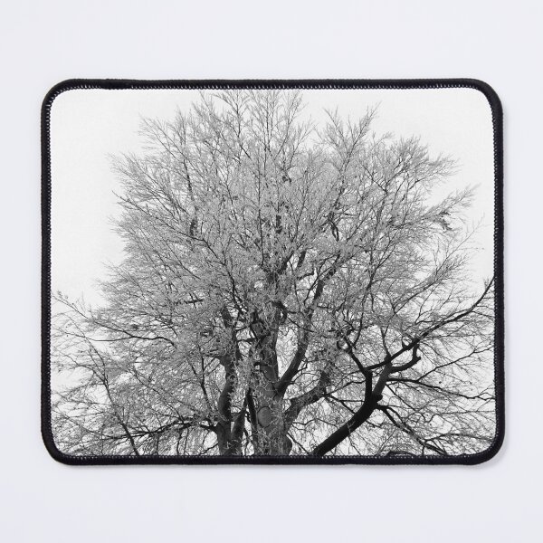 Item preview, Frosty beech tree, grayscale   designed and sold by paulboizot.