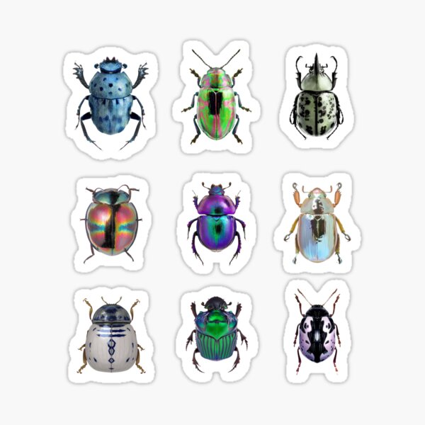Item preview, colorful beetles designed and sold by metallirakas.