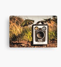 Hot In The Shade Canvas Print