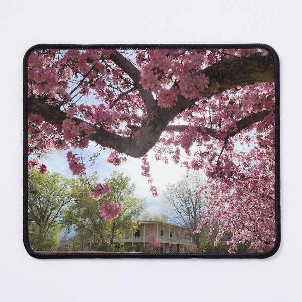 Item preview, Los Luceros Hacienda designed and sold by CESW Photography.