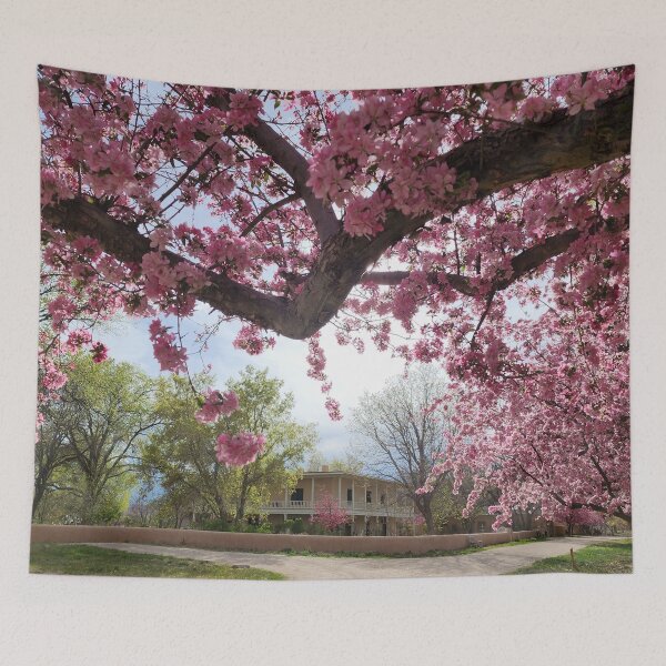 Item preview, Los Luceros Hacienda designed and sold by CESW Photography.