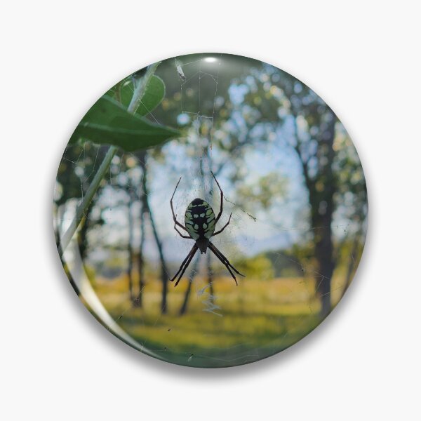 Artikelvorschau, Orbweaver in Los Luceros entworfen und verkauft von CESW Photography.