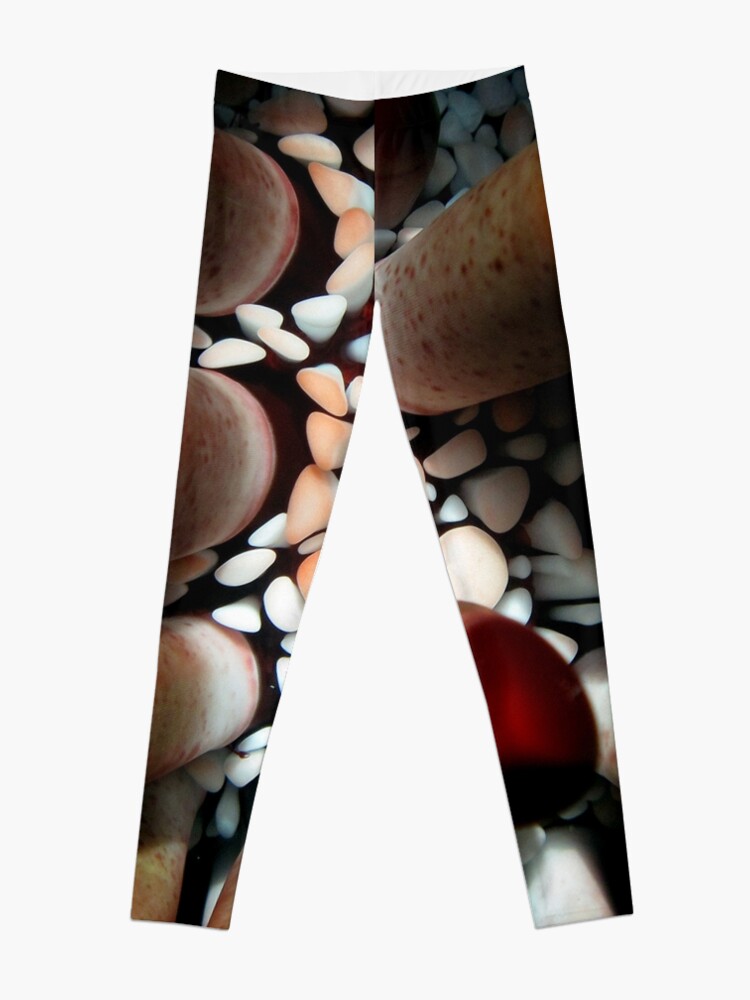 Alternate view of Pencil Urchin Leggings