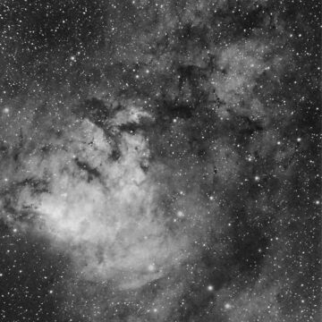 Artwork thumbnail, LDN 1269, Ced 214, Cepheus (black&white) by ShinyPhoto