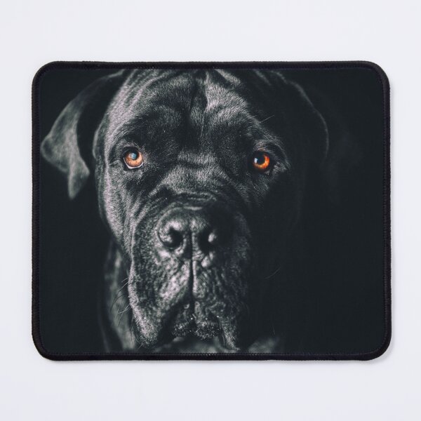 Item preview, The art of dog Cane Corso - Italian Mastiff designed and sold by repolme.