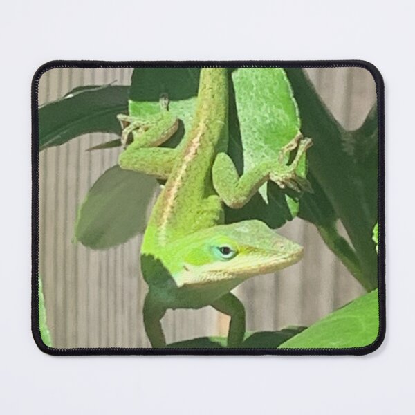 Item preview, Anole designed and sold by baksuart.
