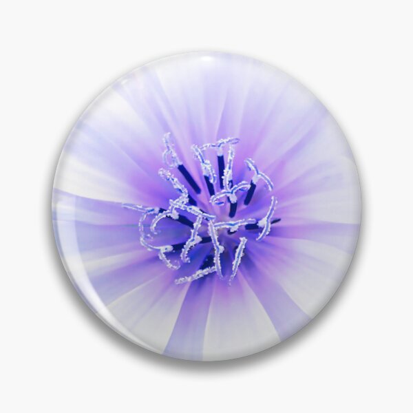 Item preview, Cichorium Endivia Blossom designed and sold by Marco Sales.