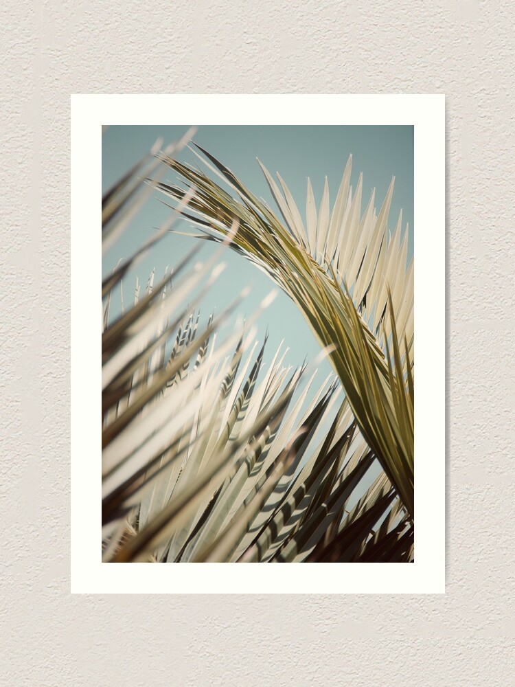 "Light And Shade " Art Print for Sale by DebraCox Redbubble