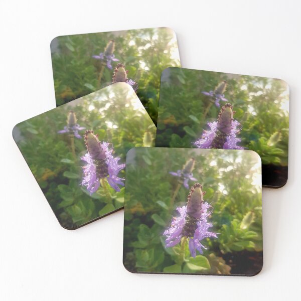 Item preview, Flowering plants designed and sold by Blissfully-MK.