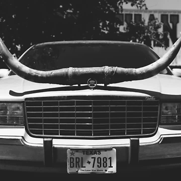 Artwork thumbnail, Texas Ride by Bethany Young