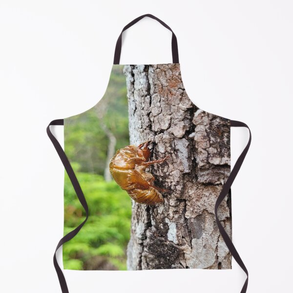 Item preview, The cicada's metamorphosis - Chapada Diamantina - Brazil designed and sold by GirlFromBrazil.