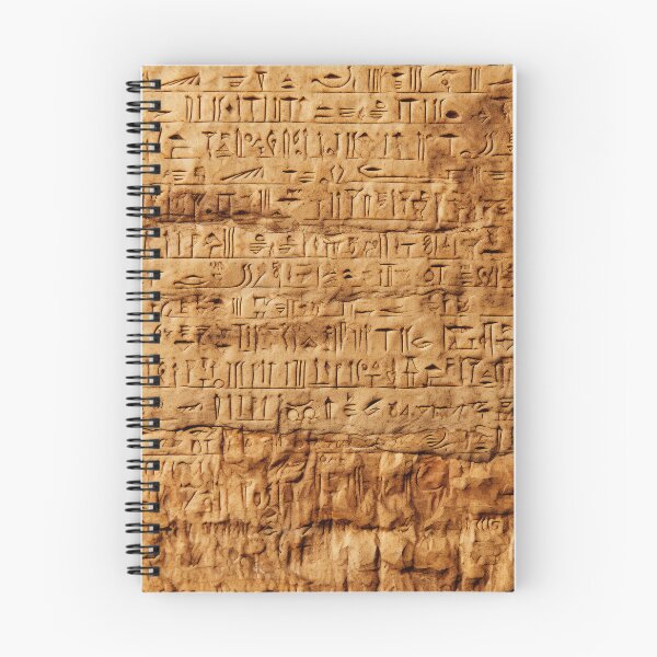 Item preview, Deciphering Hieroglyphic Writings designed and sold by Brendon987.