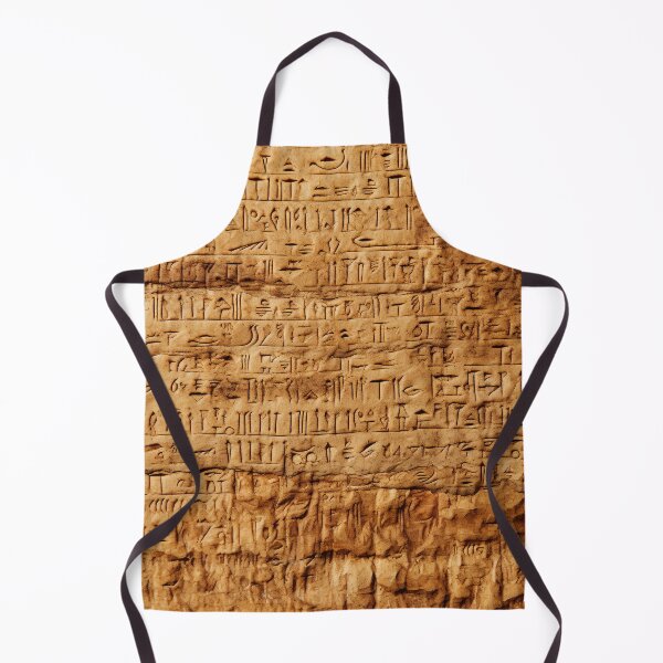 Item preview, Deciphering Hieroglyphic Writings designed and sold by Brendon987.