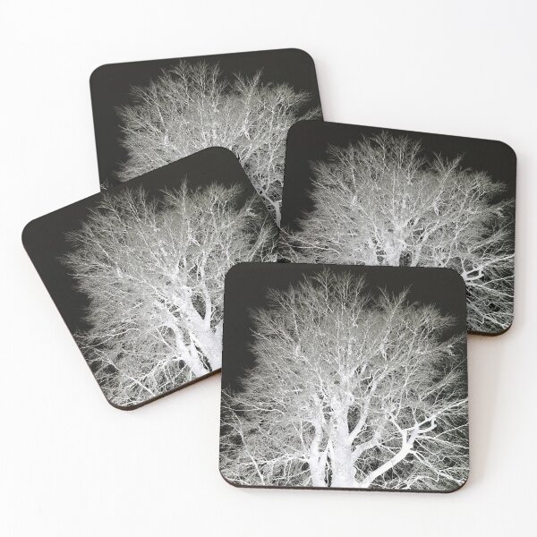 Item preview, Frosty beech tree, mono inverted designed and sold by paulboizot.