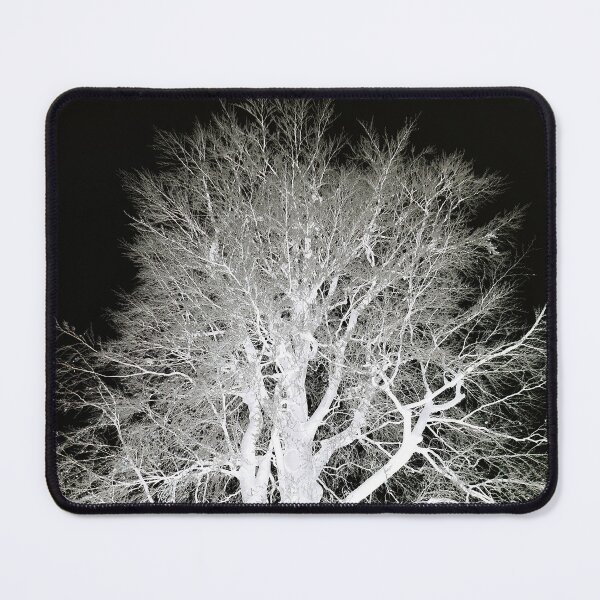 Item preview, Frosty beech tree, mono inverted designed and sold by paulboizot.