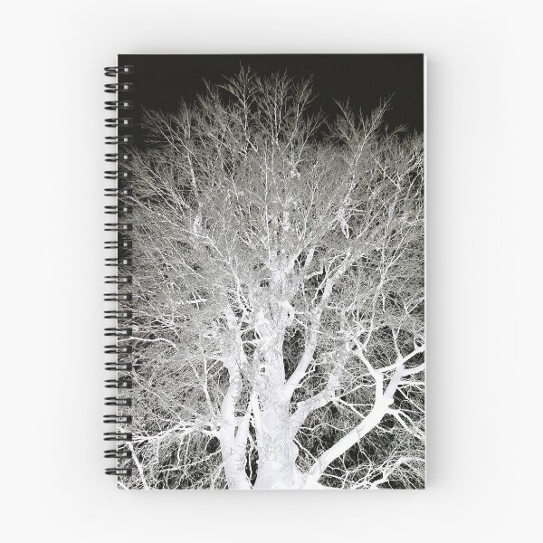 Item preview, Frosty beech tree, mono inverted designed and sold by paulboizot.
