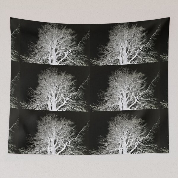 Item preview, Frosty beech tree, mono inverted designed and sold by paulboizot.