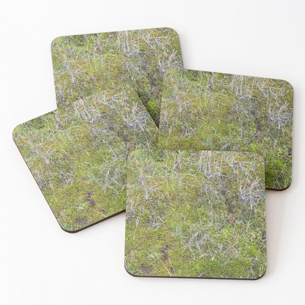 Item preview, Iceland Lichen and Moss Amonst the Glacial Sediments designed and sold by Bill Spengler's Photographic Thoughts.