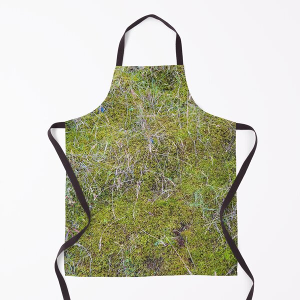 Aperçu de l'œuvre Lichen et mousse d'Islande parmi les sédiments glaciaires créée et vendue par Bill Spengler's Photographic Thoughts.