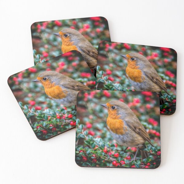 Item preview, Robin Redbreast designed and sold by AJEvans.