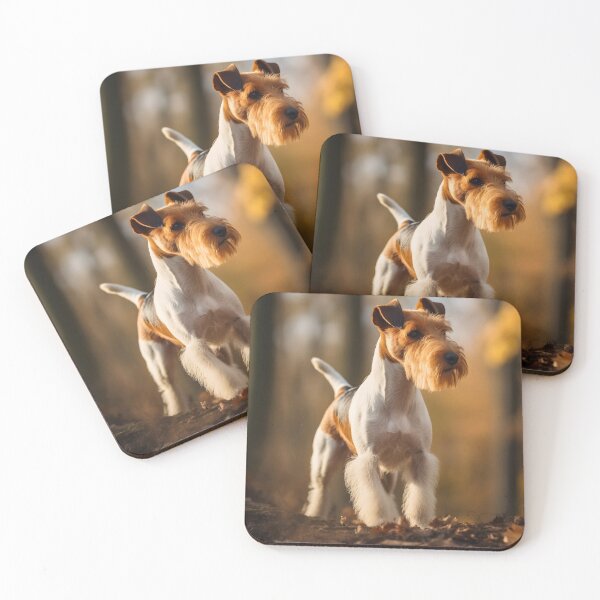 Item preview, Rough haired white and brown wire fox terrier dog breed in forest nature photography designed and sold by NBSStore.