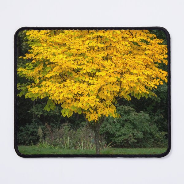 Item preview, Little Yellow Tree designed and sold by Debra Martz.