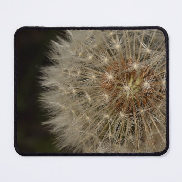 Item preview, Majestic dandelion on dark background designed and sold by thesuspire.