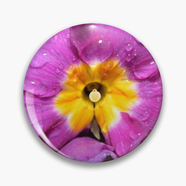 Item preview, Radiant purple yellow flower with water macro photography designed and sold by thesuspire.