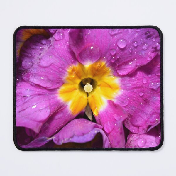 Item preview, Radiant purple yellow flower with water macro photography designed and sold by thesuspire.
