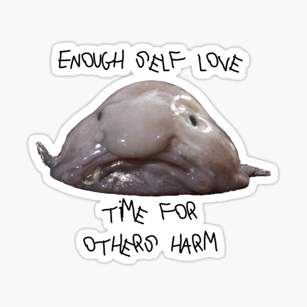 Ah, the wonders of the Blob Fish  Blobfish, Fish pet, Pointless quotes