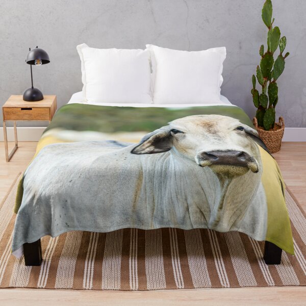 Item preview, Brahma cow looking at you designed and sold by noblephoto.