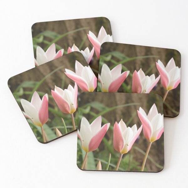 Item preview, Soft elegant white coral pink tulips with bugs designed and sold by thesuspire.